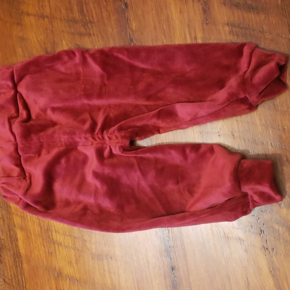 Velour Hoodie Sweatsuit 2 Pcs - Picture 4 of 4